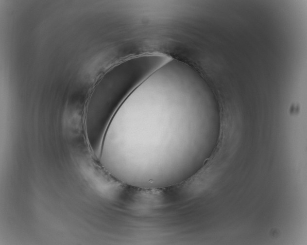 X0000112970576200908271145