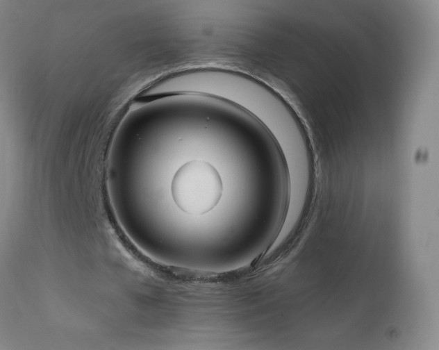 X0000112970577200908271144