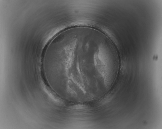 X0000112970578200908271144