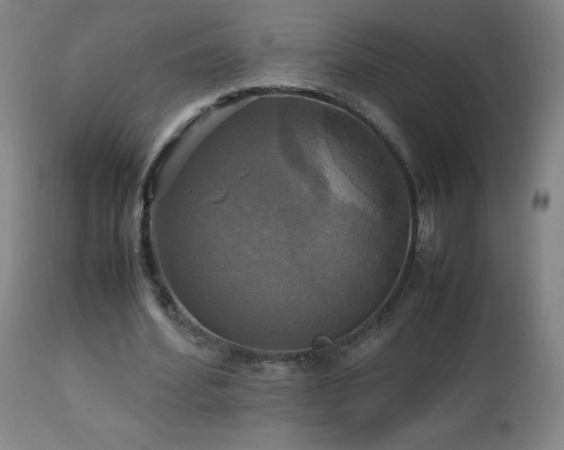 X0000112970580200908271144