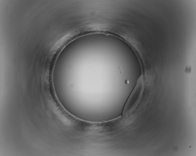 X0000112970581200908271144