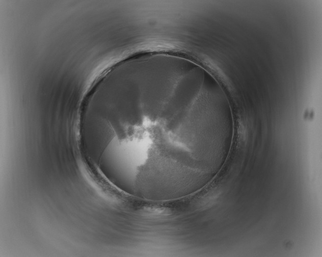 X0000112970582200908271144