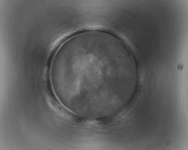 X0000112970583200908271144