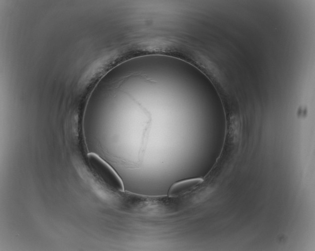 X0000112970589200908271144