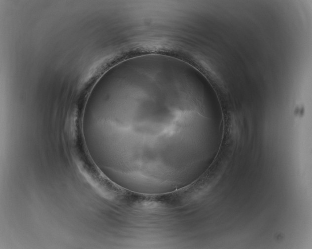 X0000112970590200908271144