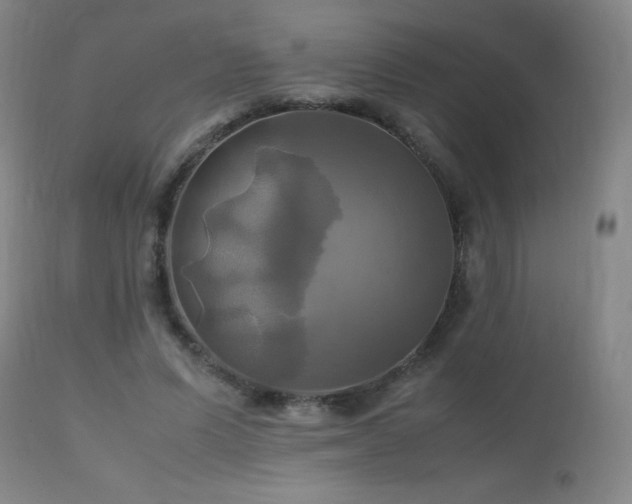 X0000112970591200908271144