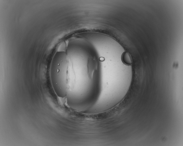 X0000112970592200908271144