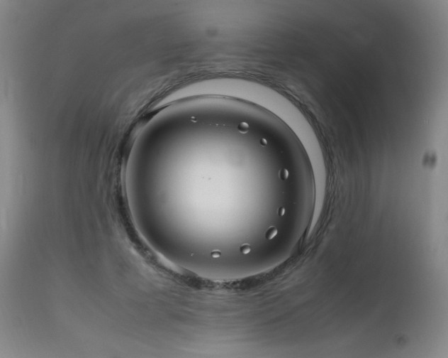 X0000112970593200908271144