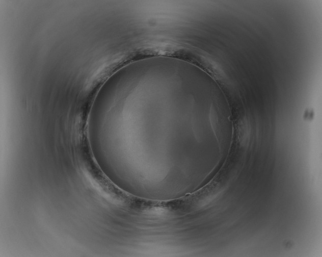 X0000112970594200908271144