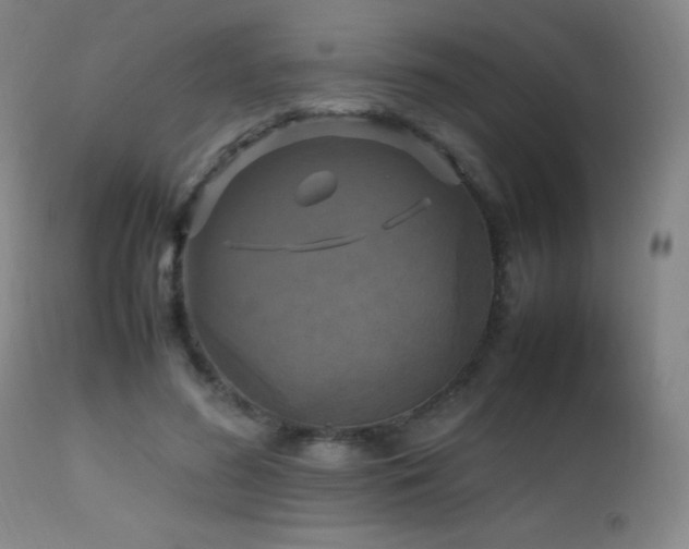 X0000112970596200908271144