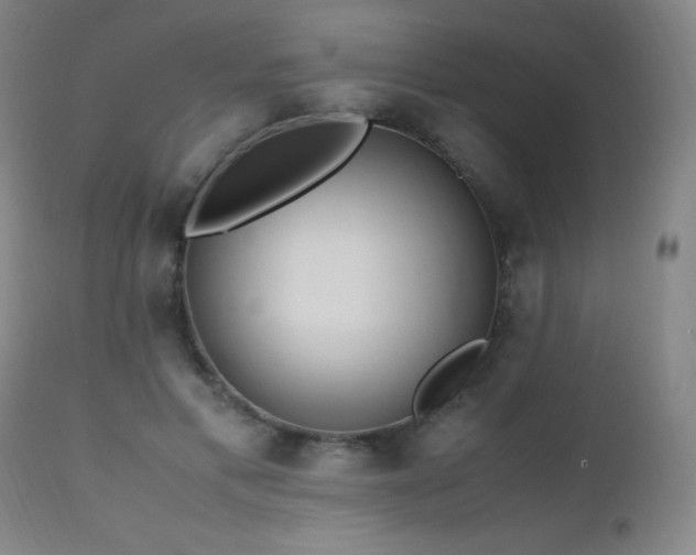 X0000112970597200908271144