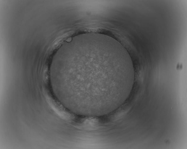 X0000112970599200908271144