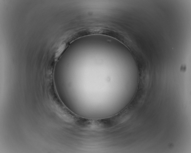 X0000112970601200908271144