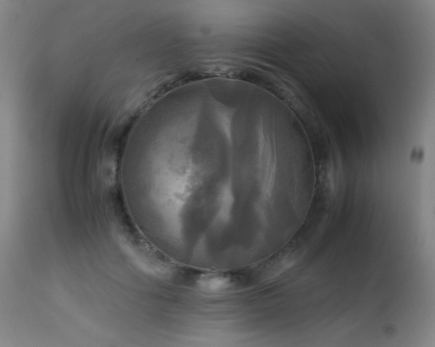 X0000112970602200908271144