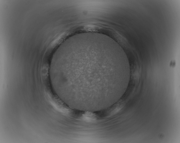 X0000112970603200908271144