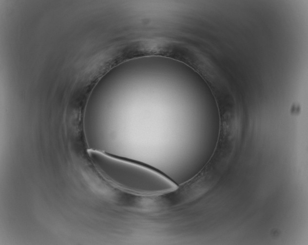 X0000112970605200908271144