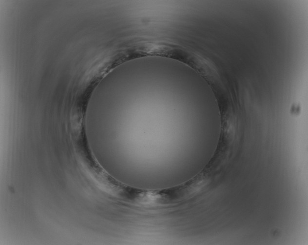 X0000112970607200908271144