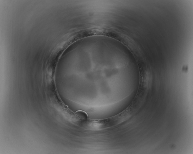 X0000112970610200908271144