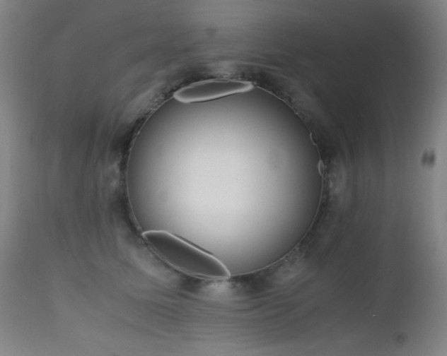 X0000112970611200908271144