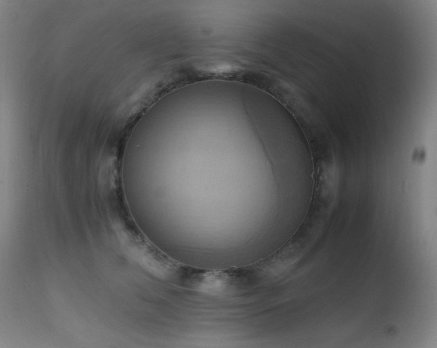 X0000112970612200908271144