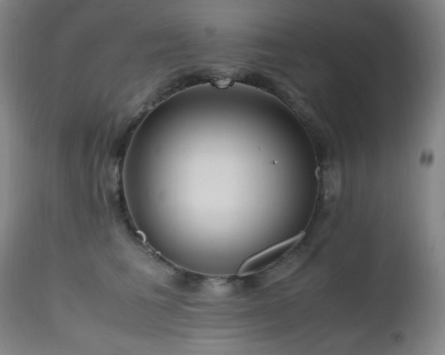 X0000112970613200908271144