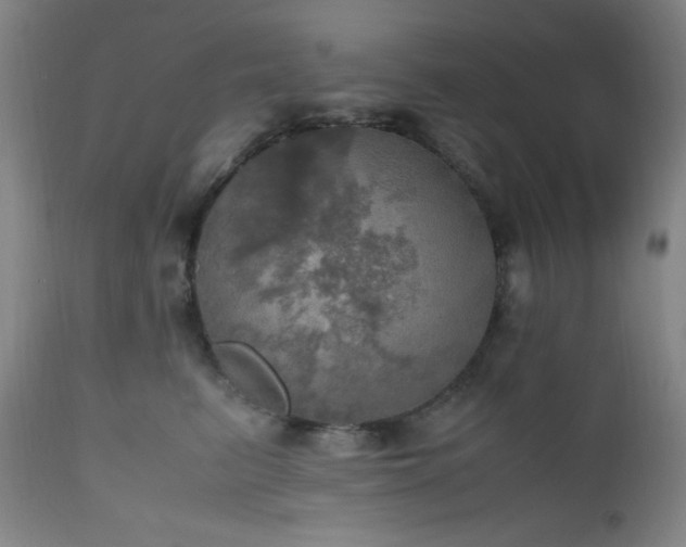 X0000112970615200908271144