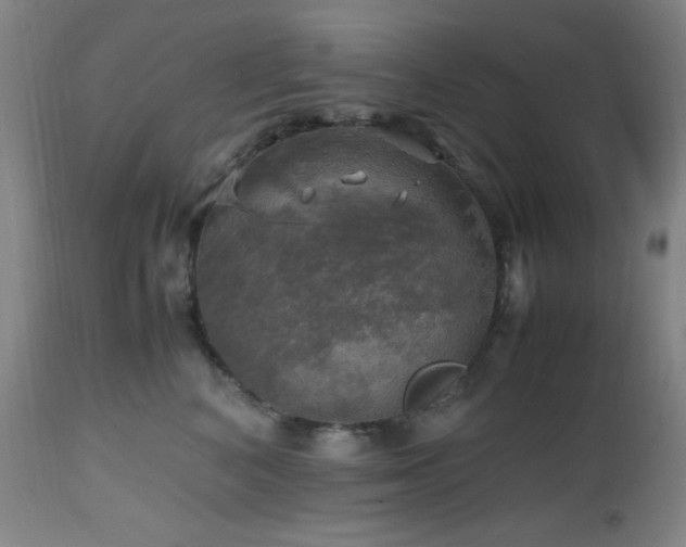 X0000112970616200908271144