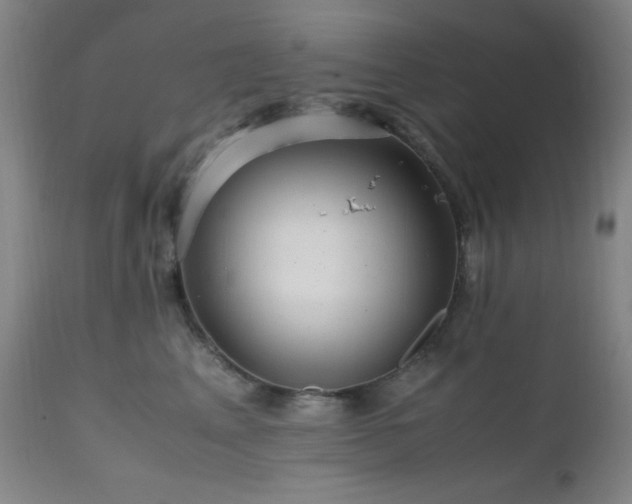 X0000112970617200908271144