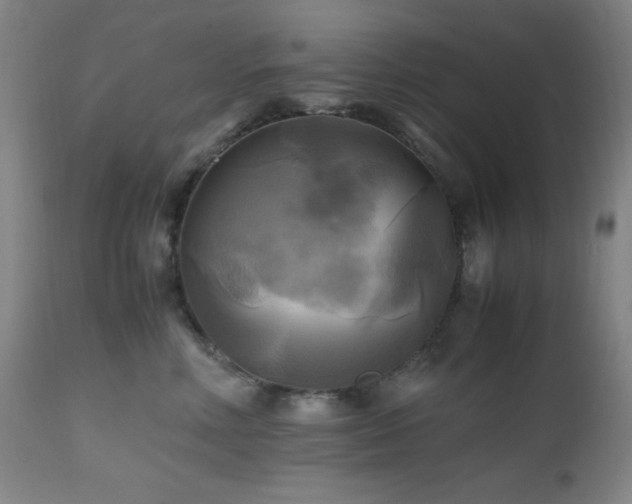 X0000112970618200908271143