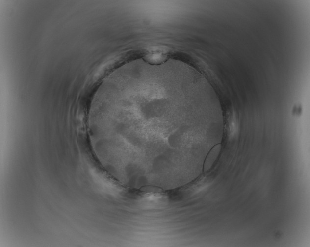 X0000112970619200908271143