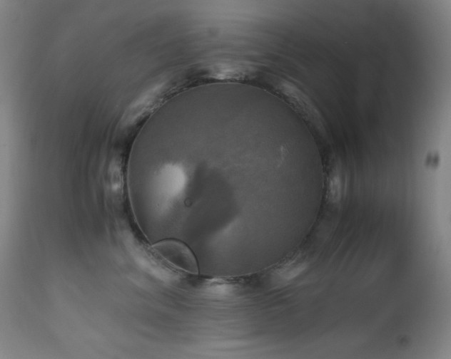 X0000112970620200908271143