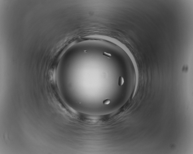 X0000112970621200908271143