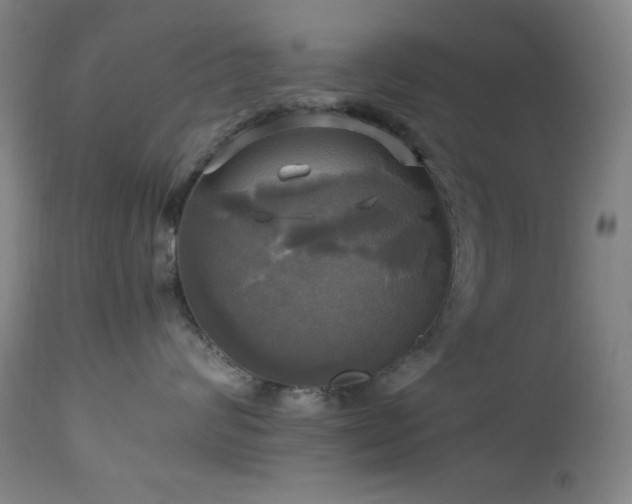 X0000112970624200908271143