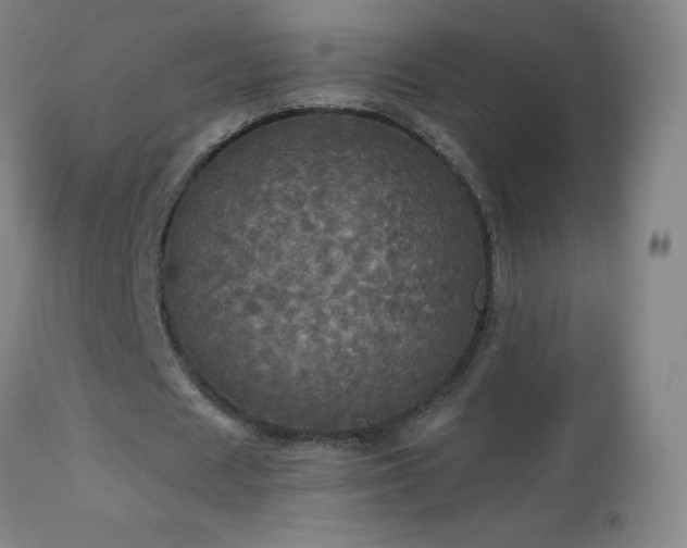 X0000112970625200908271143