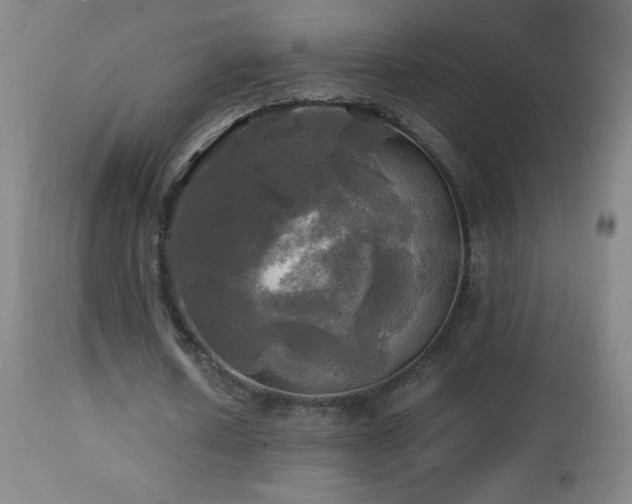 X0000112970626200908271143