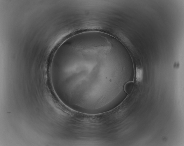 X0000112970627200908271143