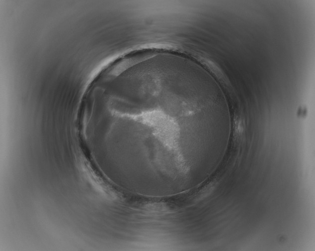 X0000112970628200908271143