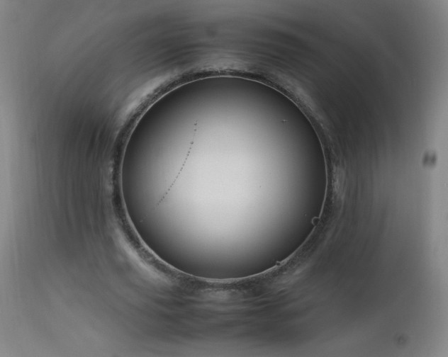 X0000112970629200908271143