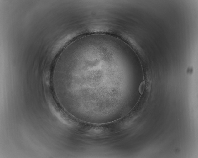 X0000112970631200908271143