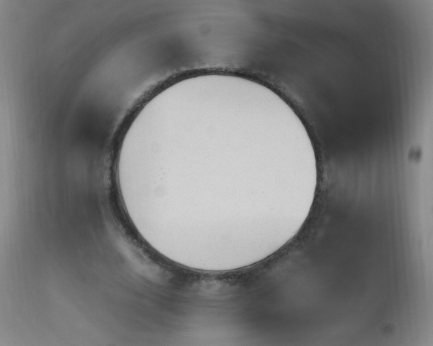 X0000112970632200908271143