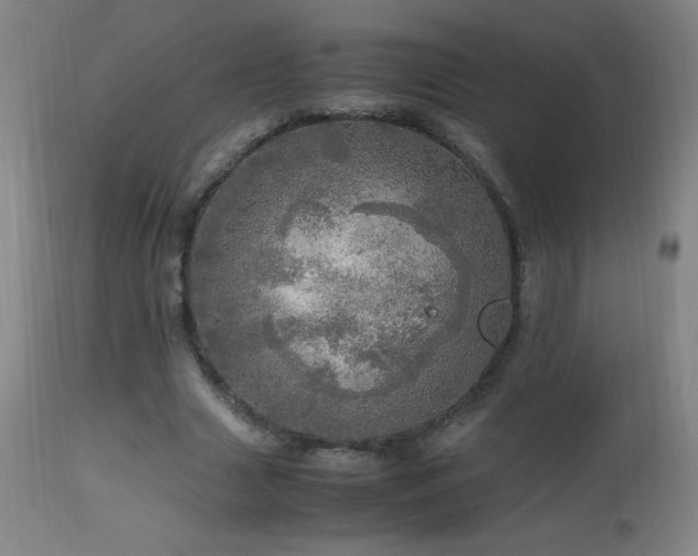 X0000112970633200908271143