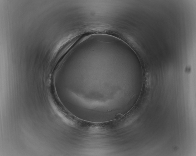 X0000112970634200908271143