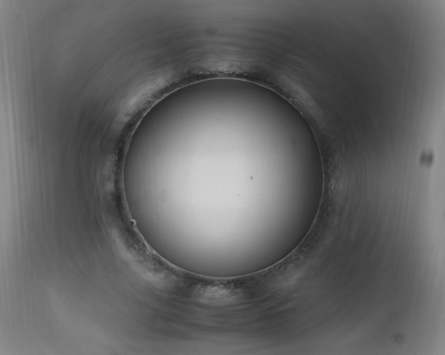 X0000112970635200908271143