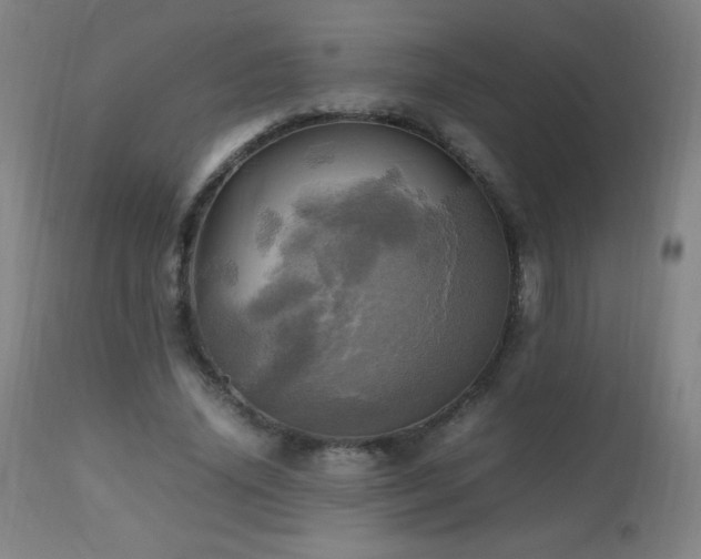 X0000112970636200908271143