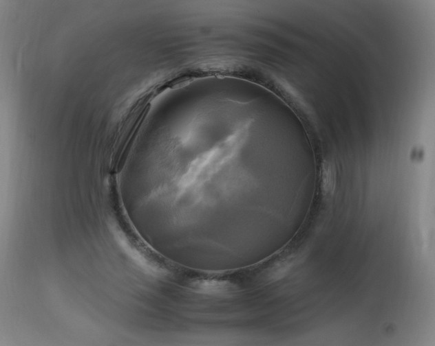 X0000112970637200908271143