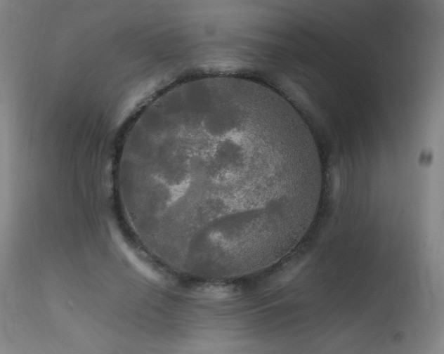 X0000112970638200908271143