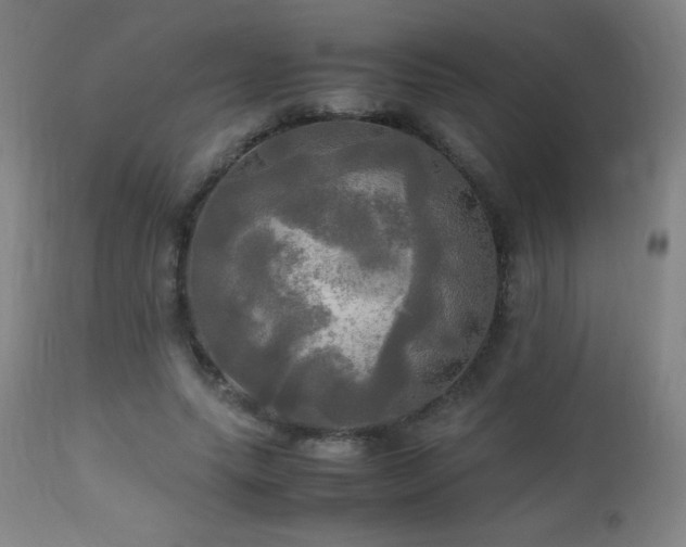 X0000112970639200908271143