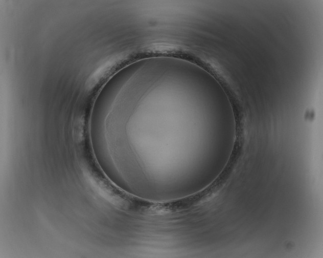 X0000112970640200908271143