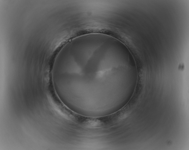 X0000112970642200908271143