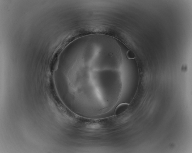 X0000112970643200908271143